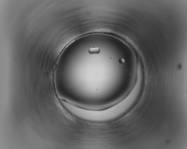 X0000111461281200907201105