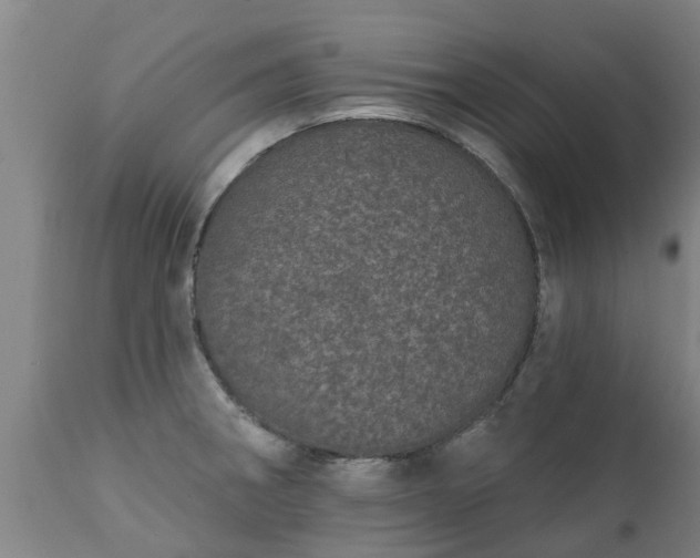 X0000111461282200907201105