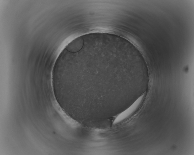 X0000111461283200907201105