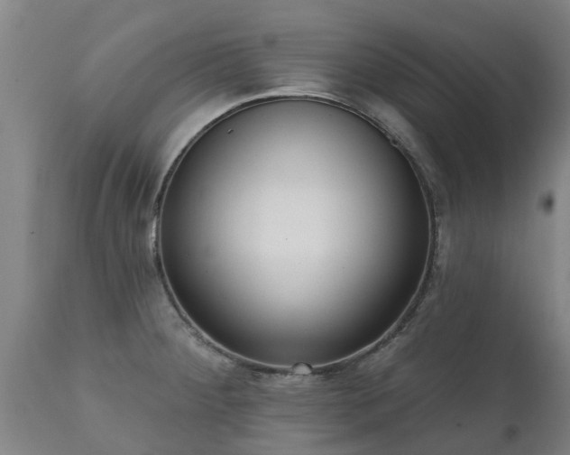 X0000111461284200907201105