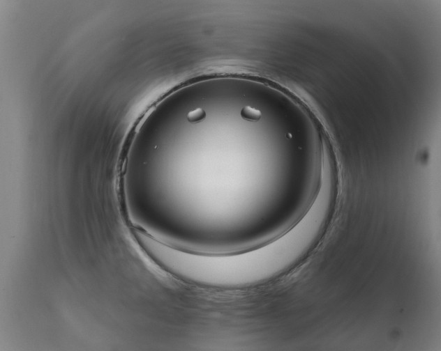 X0000111461285200907201105