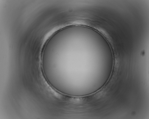 X0000111461286200907201105