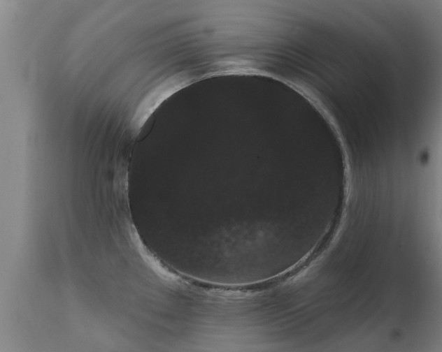 X0000111461289200907201105