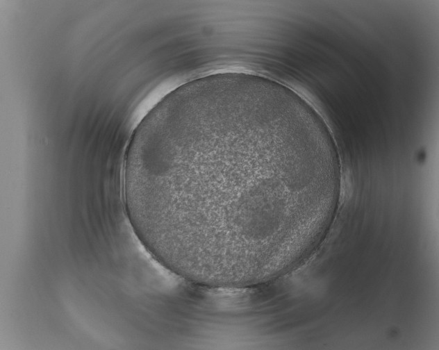 X0000111461290200907201105