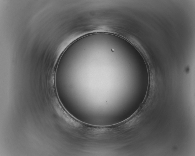 X0000111461292200907201104