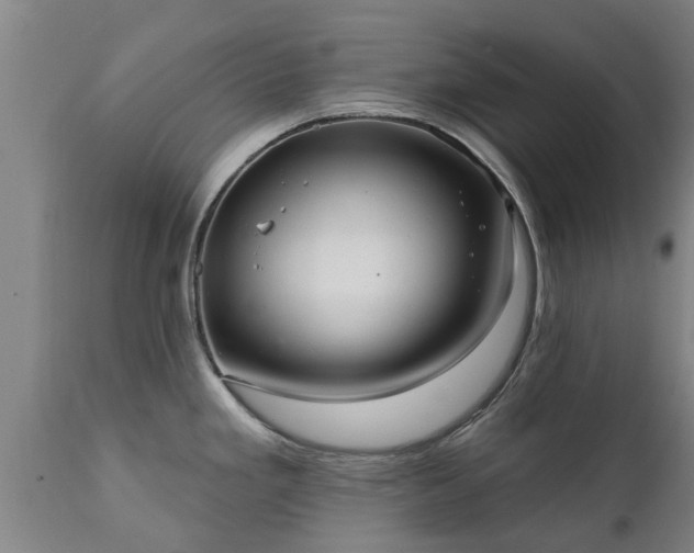 X0000111461293200907201104