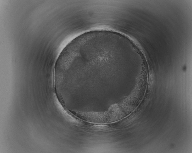 X0000111461295200907201104