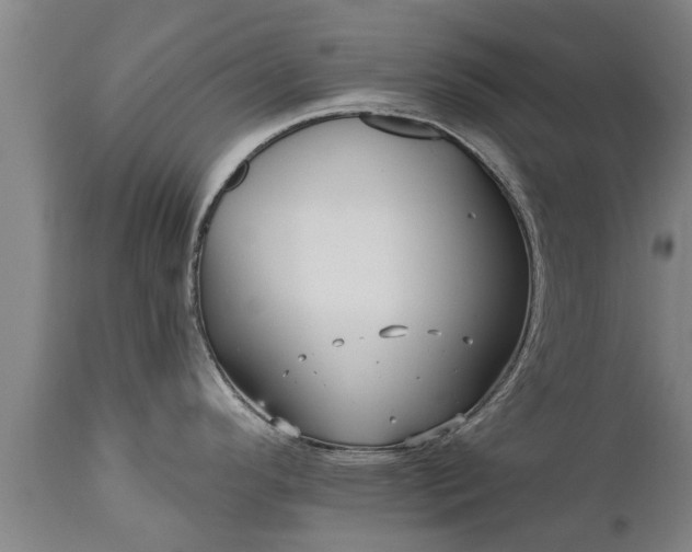 X0000111461296200907201104