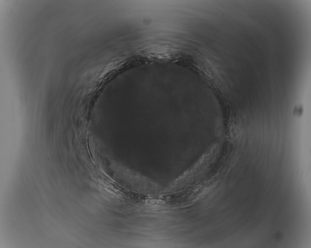 X0000111461297200907201104