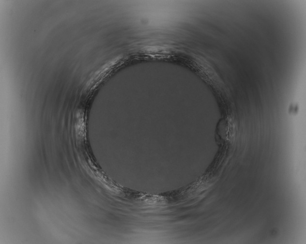 X0000111461298200907201104