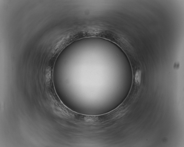 X0000111461299200907201104