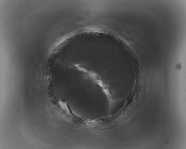 X0000111461303200907201104