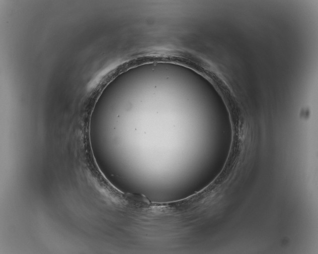 X0000111461304200907201104