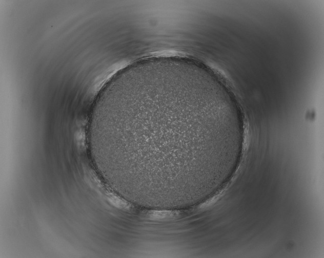 X0000111461305200907201104