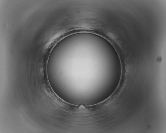 X0000111461307200907201104