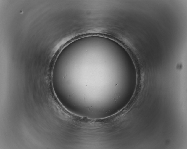 X0000111461308200907201104