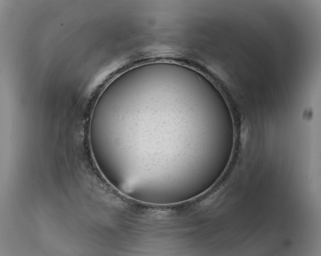 X0000111461309200907201104