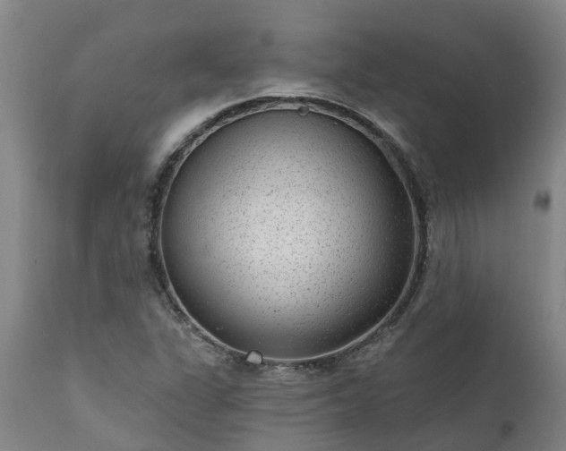 X0000111461311200907201104