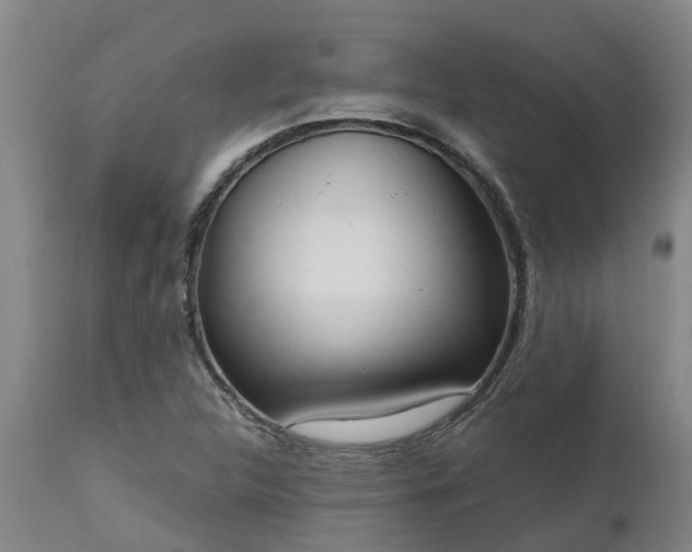 X0000111461312200907201104