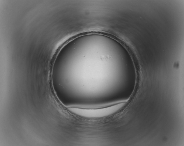 X0000111461316200907201104