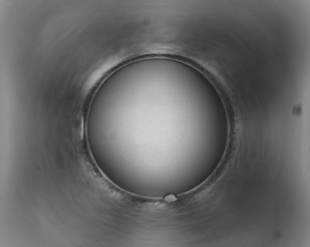 X0000111461317200907201104