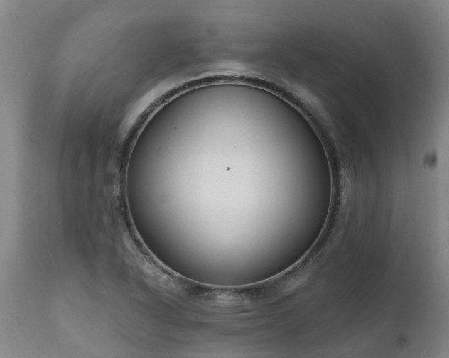 X0000111461318200907201104