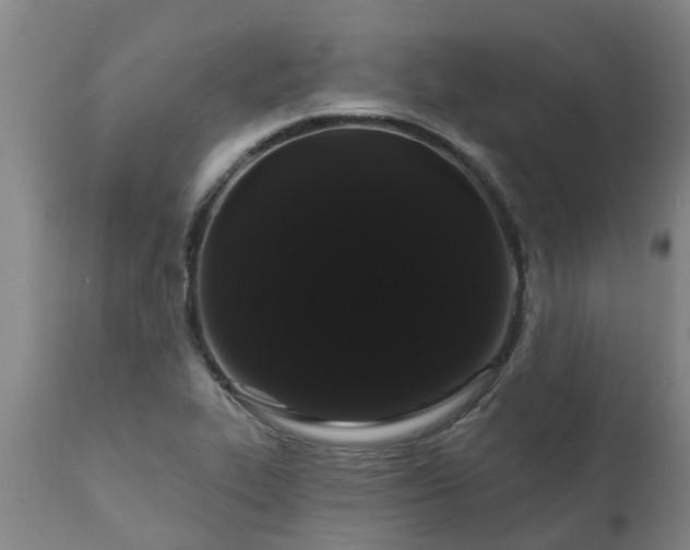 X0000111461319200907201104