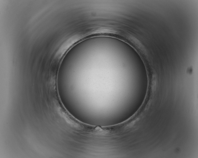 X0000111461321200907201104