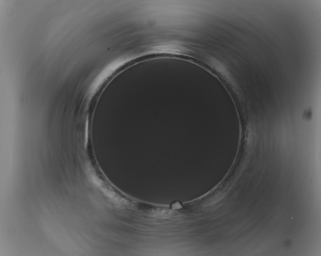 X0000111461323200907201104