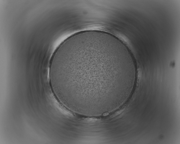 X0000111461324200907201104