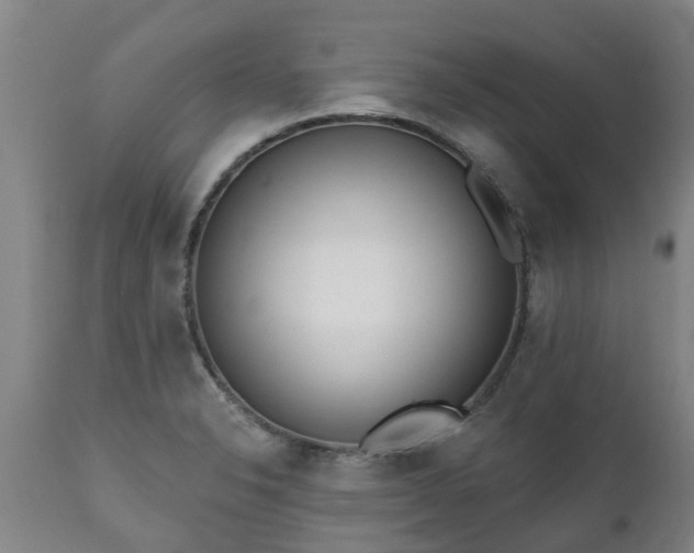 X0000111461326200907201104