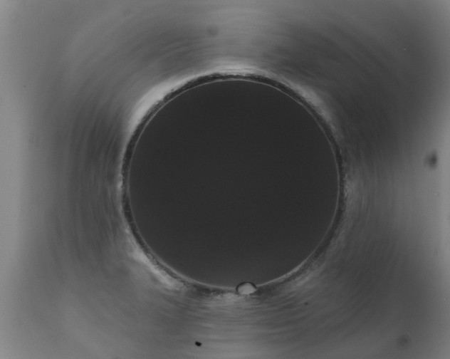 X0000111461327200907201104