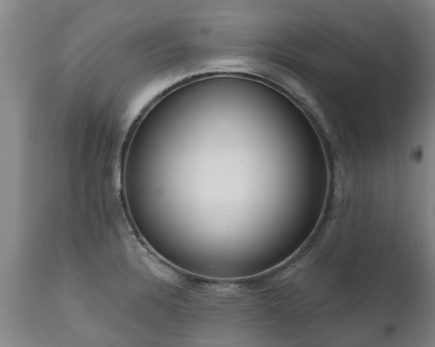 X0000111461328200907201104