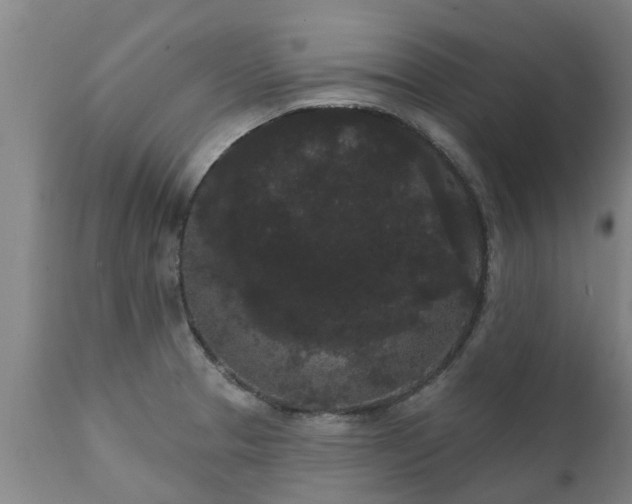 X0000111461329200907201104