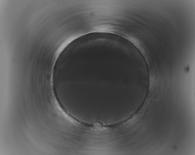 X0000111461331200907201104