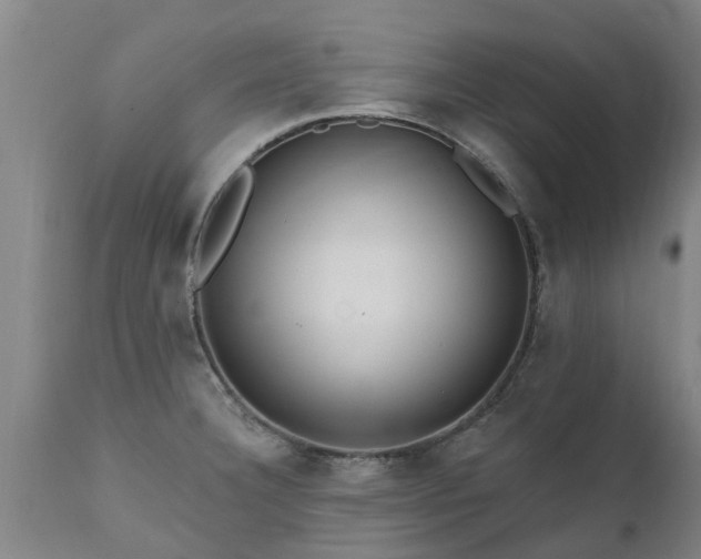 X0000111461332200907201104