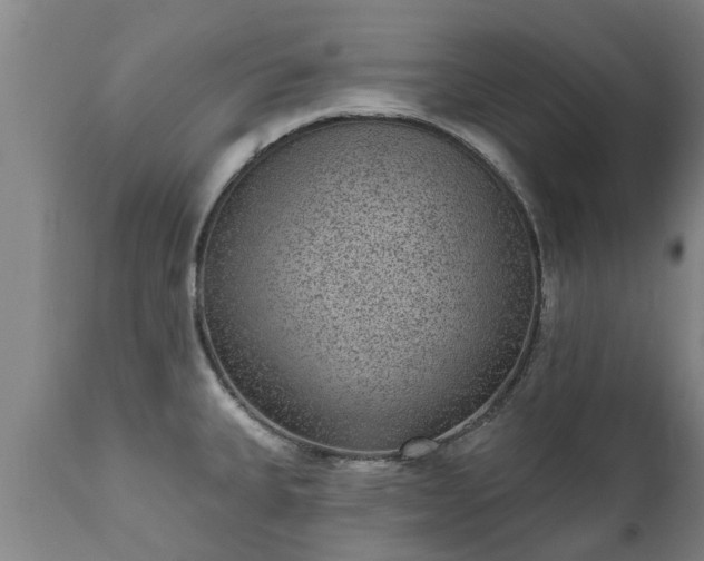 X0000111461335200907201104