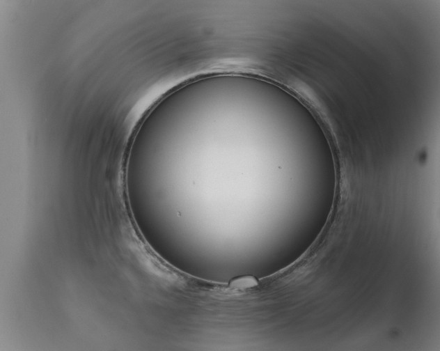 X0000111461336200907201104