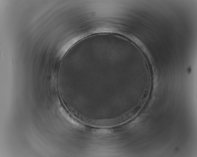 X0000111461337200907201104