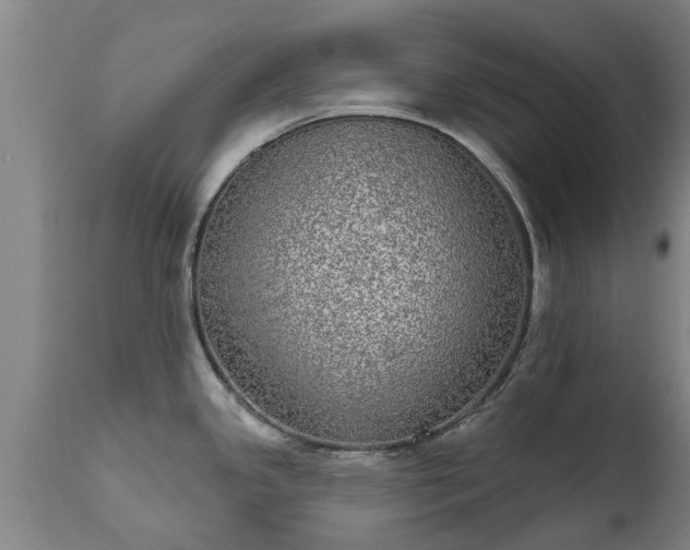 X0000111461341200907201104