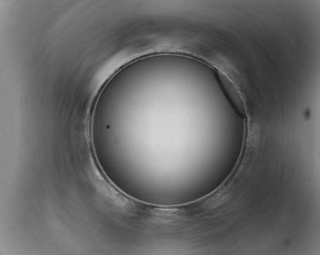 X0000111461342200907201104