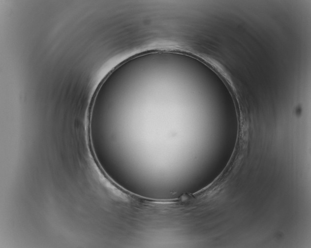 X0000111461343200907201104