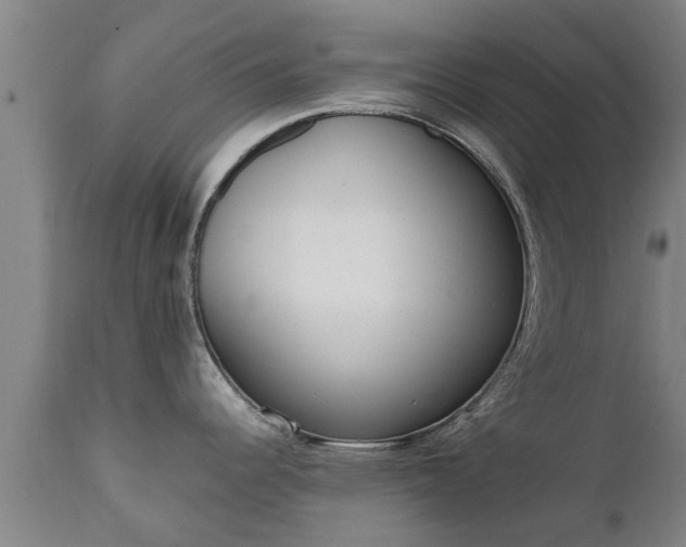 X0000111461344200907201104