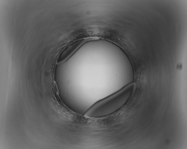 X0000111461345200907201104