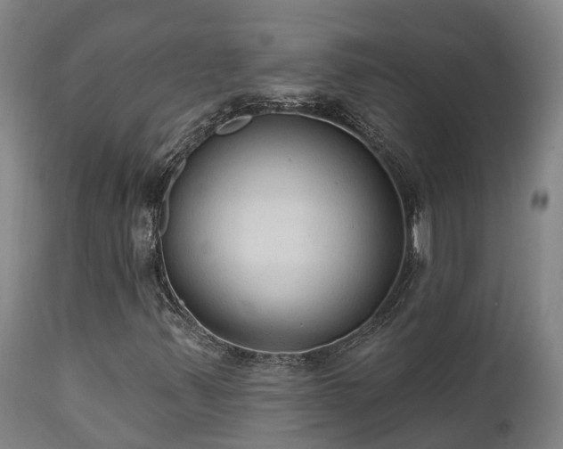 X0000111461347200907201104