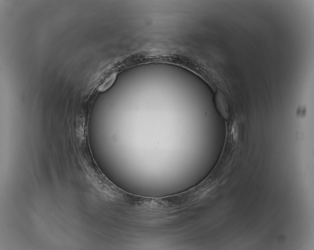 X0000111461348200907201104