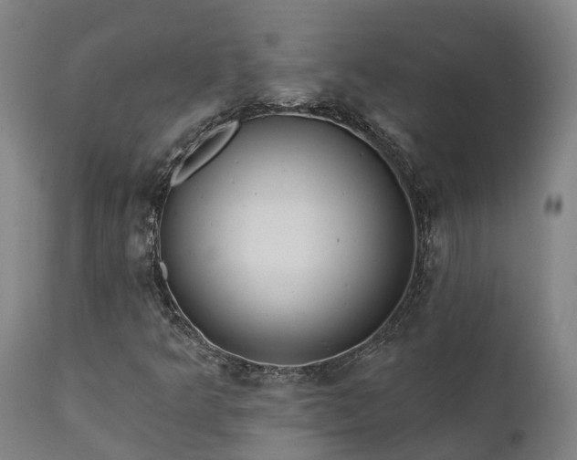 X0000111461349200907201104