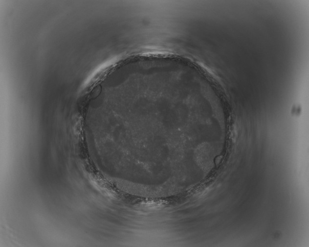 X0000111461351200907201104