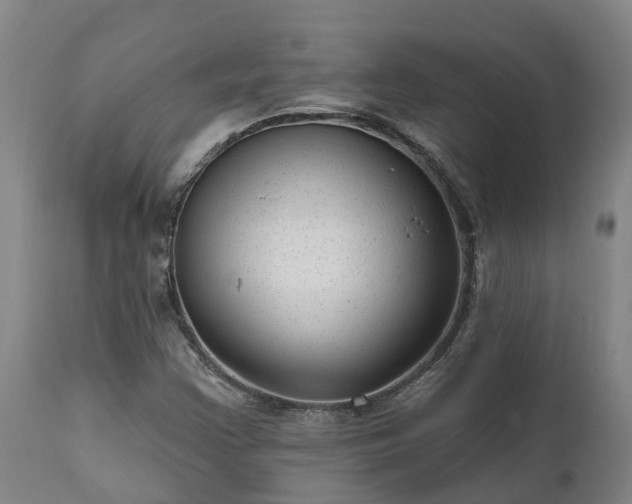 X0000111461355200907201104