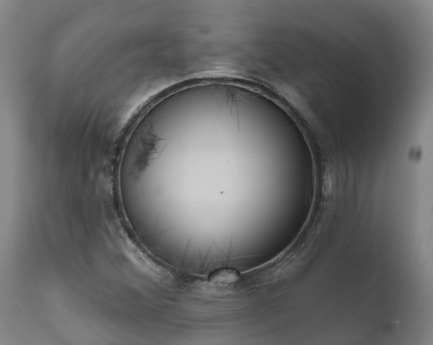 X0000111461356200907201104